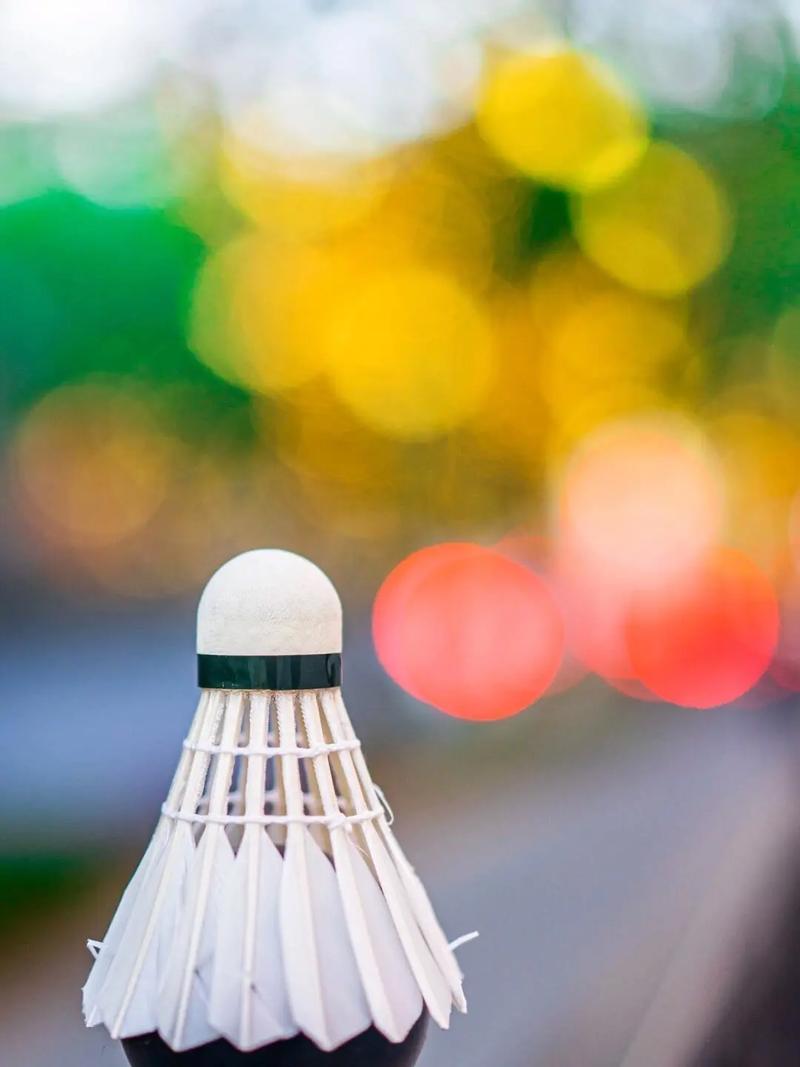 罗马在本赛 罗马在本赛